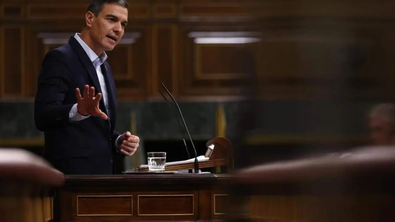 <p> El presidente Pedro S&aacute;nchez </p>
