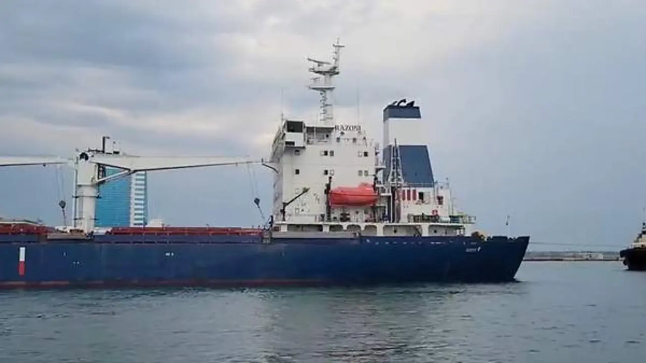 <p> Barco con cereales de Ucrania </p>