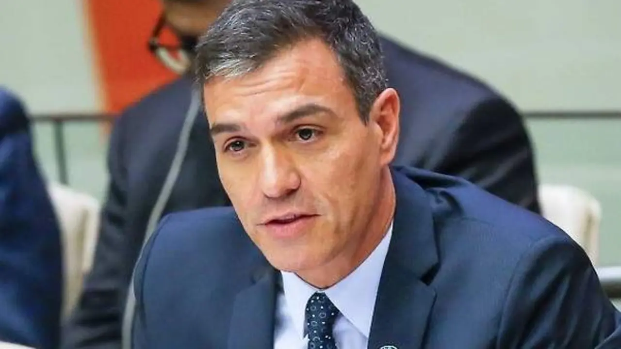  Pedro S&aacute;nchez 