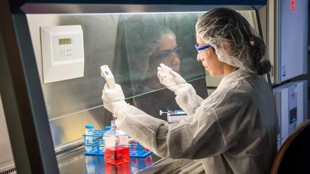  Estudio del c&aacute;ncer 