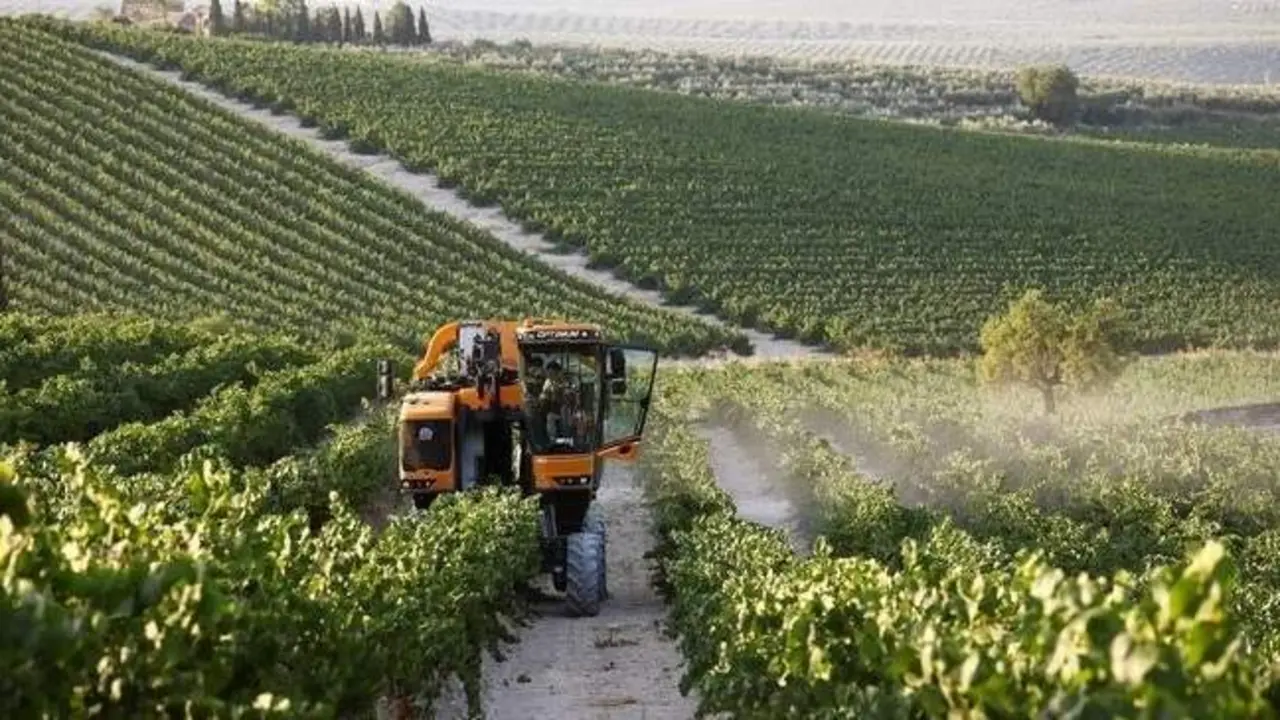  Agricultura. ARCHIVO 