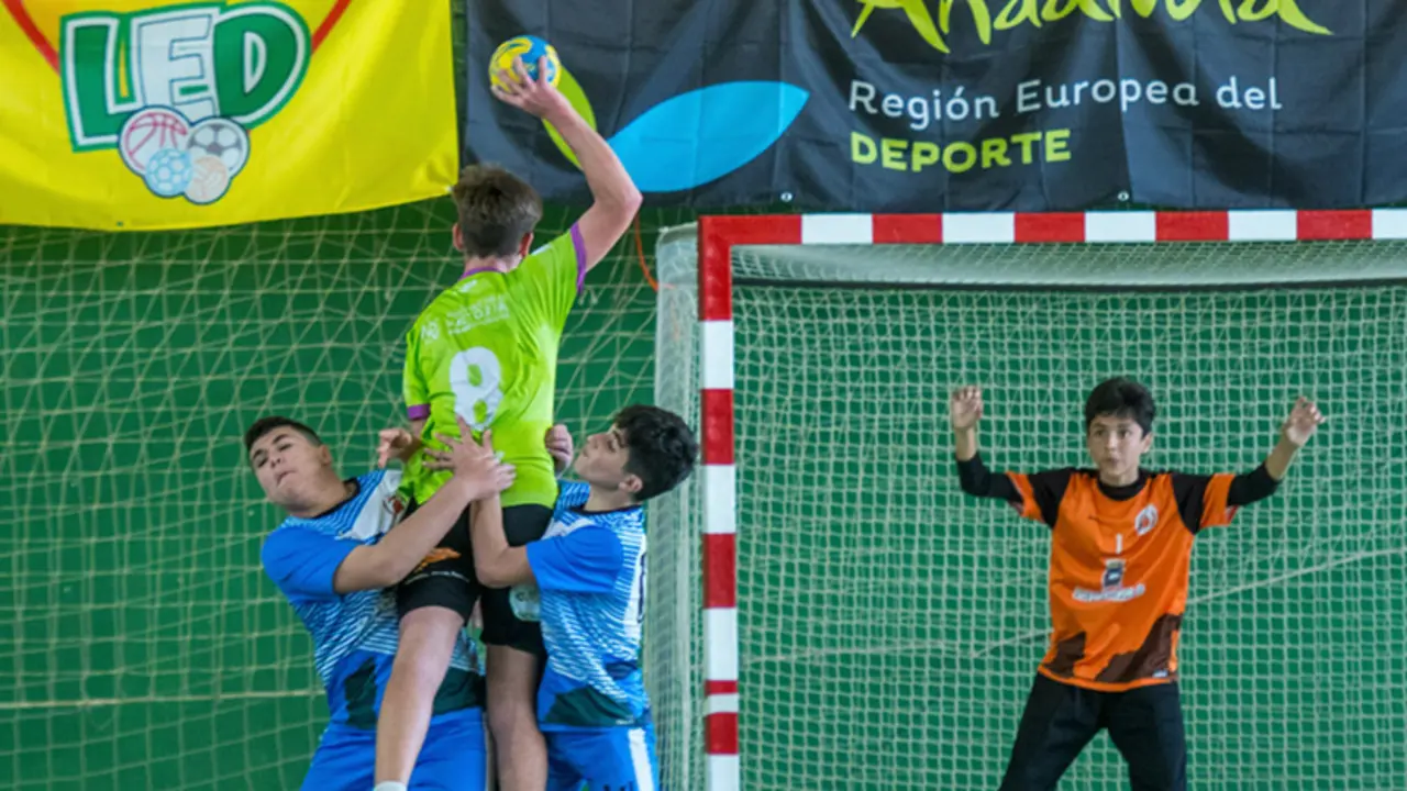  Escolares andaluces en un partido de balonmano de la Liga LED. 