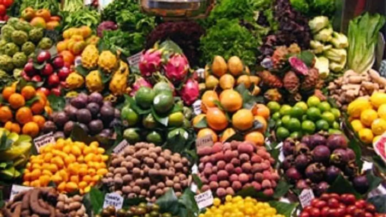  Sector agroalimentario.  