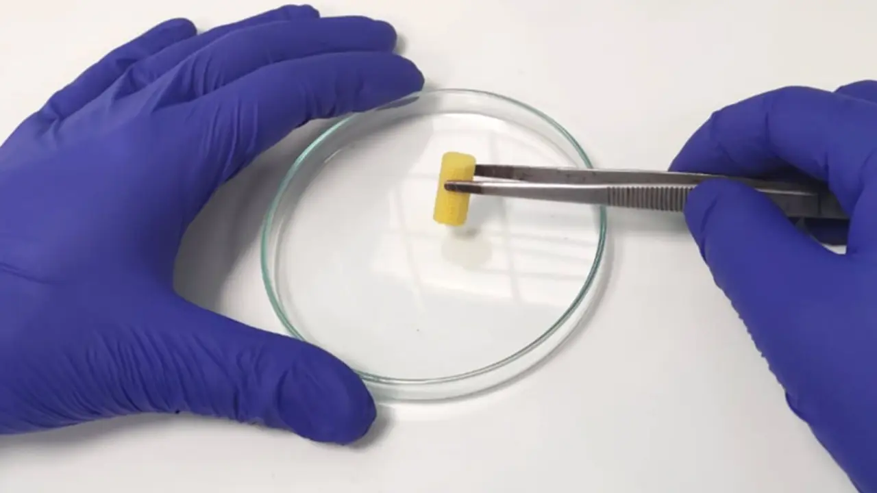  Investigadores de la UCV desarrollan un nuevo biomaterial capaz de regenerar huesos - UCV 