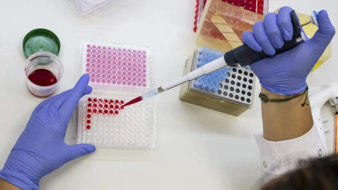  Investigaci&oacute;n del C&aacute;ncer de Mama 