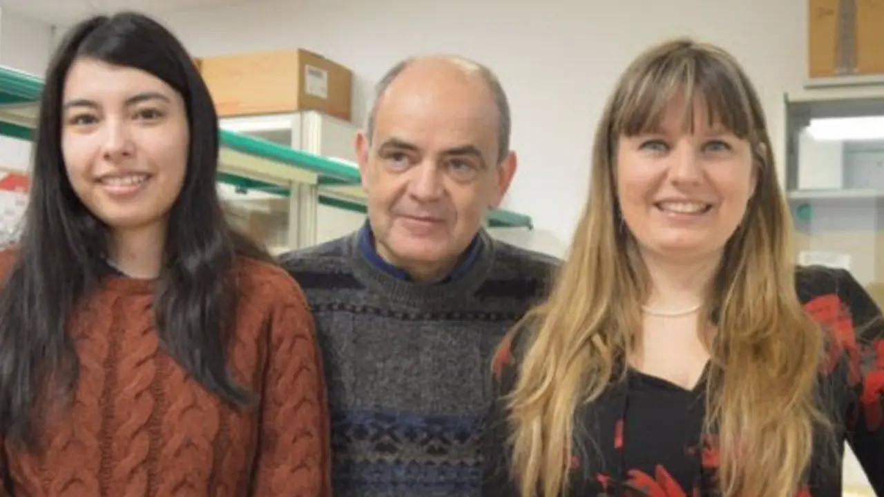  Cient&iacute;ficos detectan la uni&oacute;n de dos prote&iacute;nas que intervienen en el c&aacute;ncer. - FUNDACI&Oacute;N DESCUBRE 