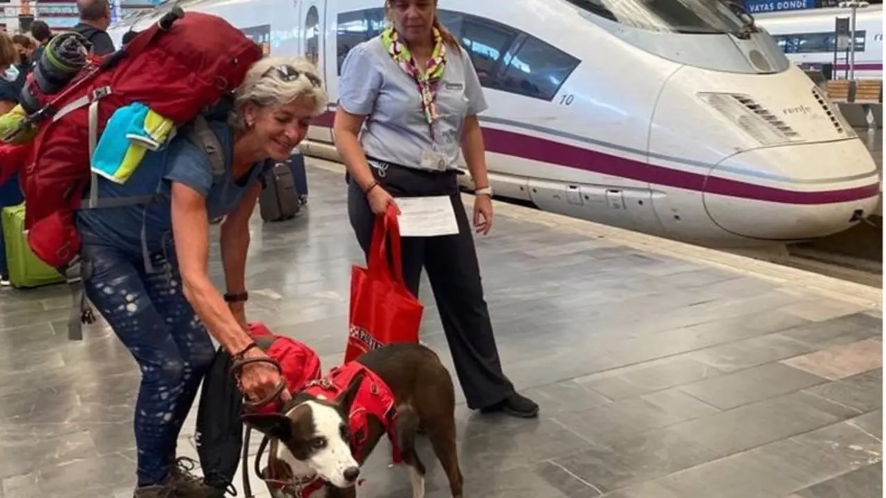  Una perrita de tres a&ntilde;os, la primera mascota de hasta 40 kilos que viaja en un AVE desde Zaragoza-Delicias - RENFE 