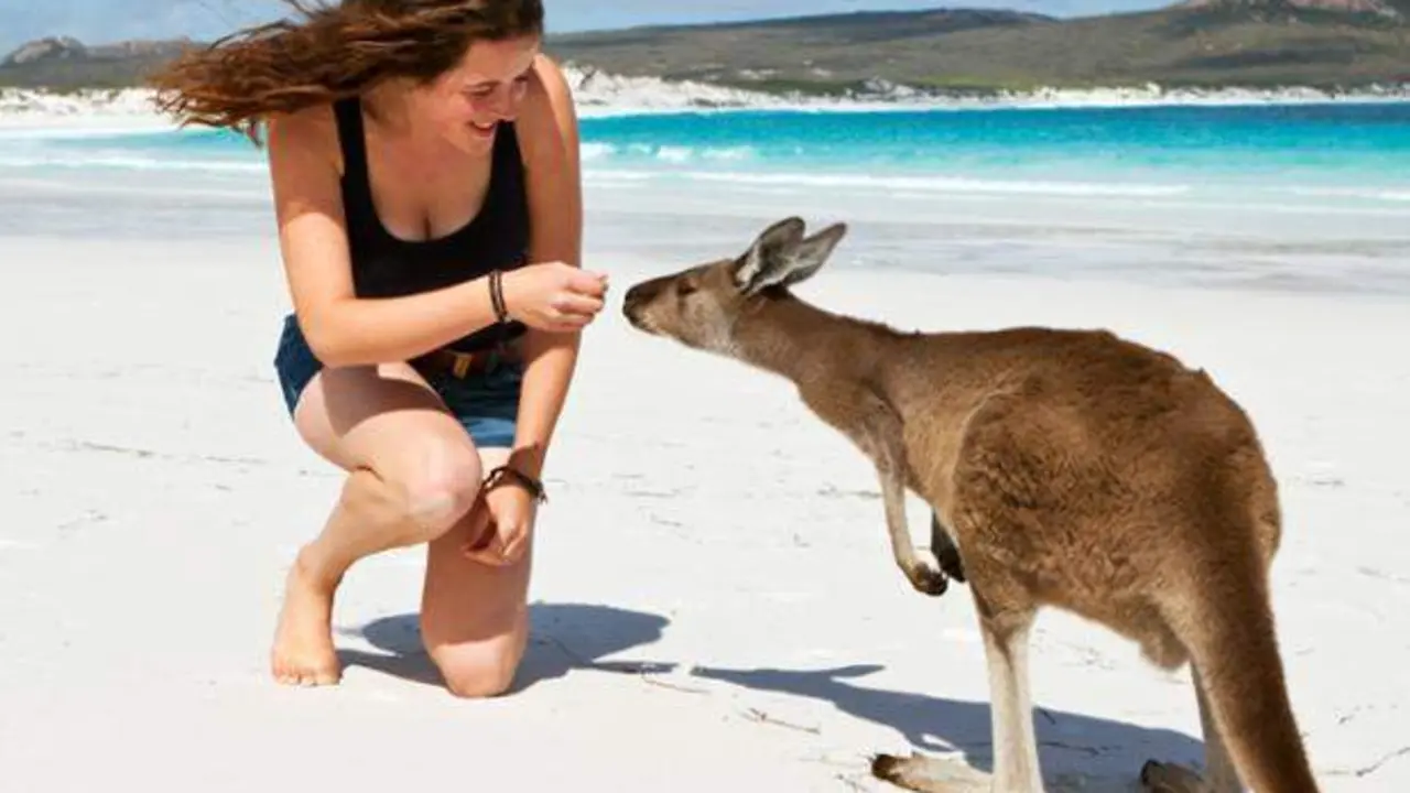  Imagen de una ni&ntilde;a con un canguro en Australia, pa&iacute;s que cobrar&aacute; a los 'influencers' por sacar fotograf&iacute;as 