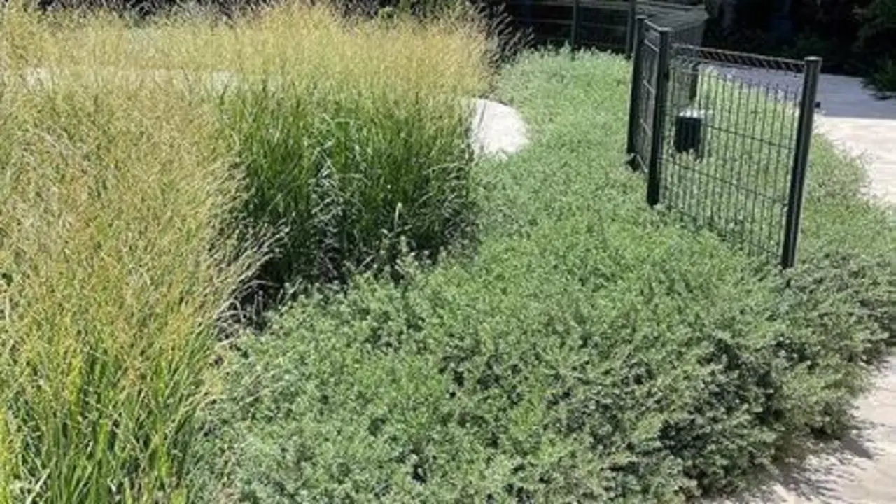  Mantenimiento de jardines. 