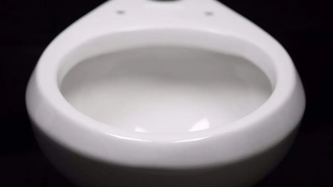  Archivo - Retrete - WONG LABORATORY FOR NATURE INSPIRED ENGINEERING 