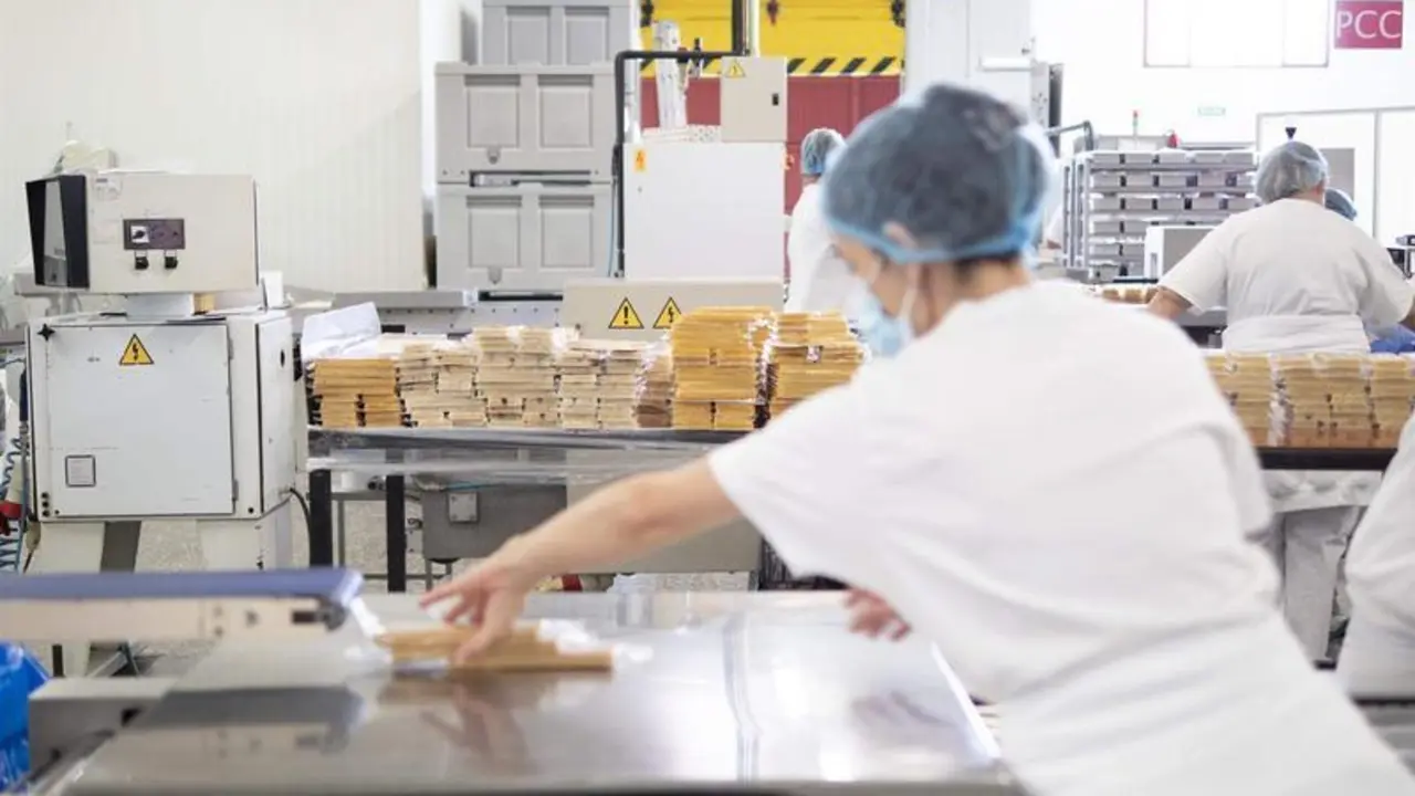  Archivo - Las operarias en la elaboraci&oacute;n - CONSEJO REGULADOR IGP - Archivo 