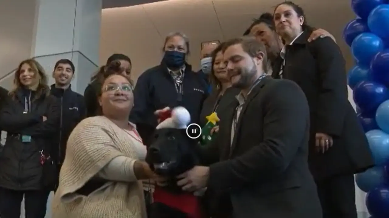  Imagen de la celebraci&oacute;n por la adopci&oacute;n de Polaris en el aeropuerto de San Francisco 