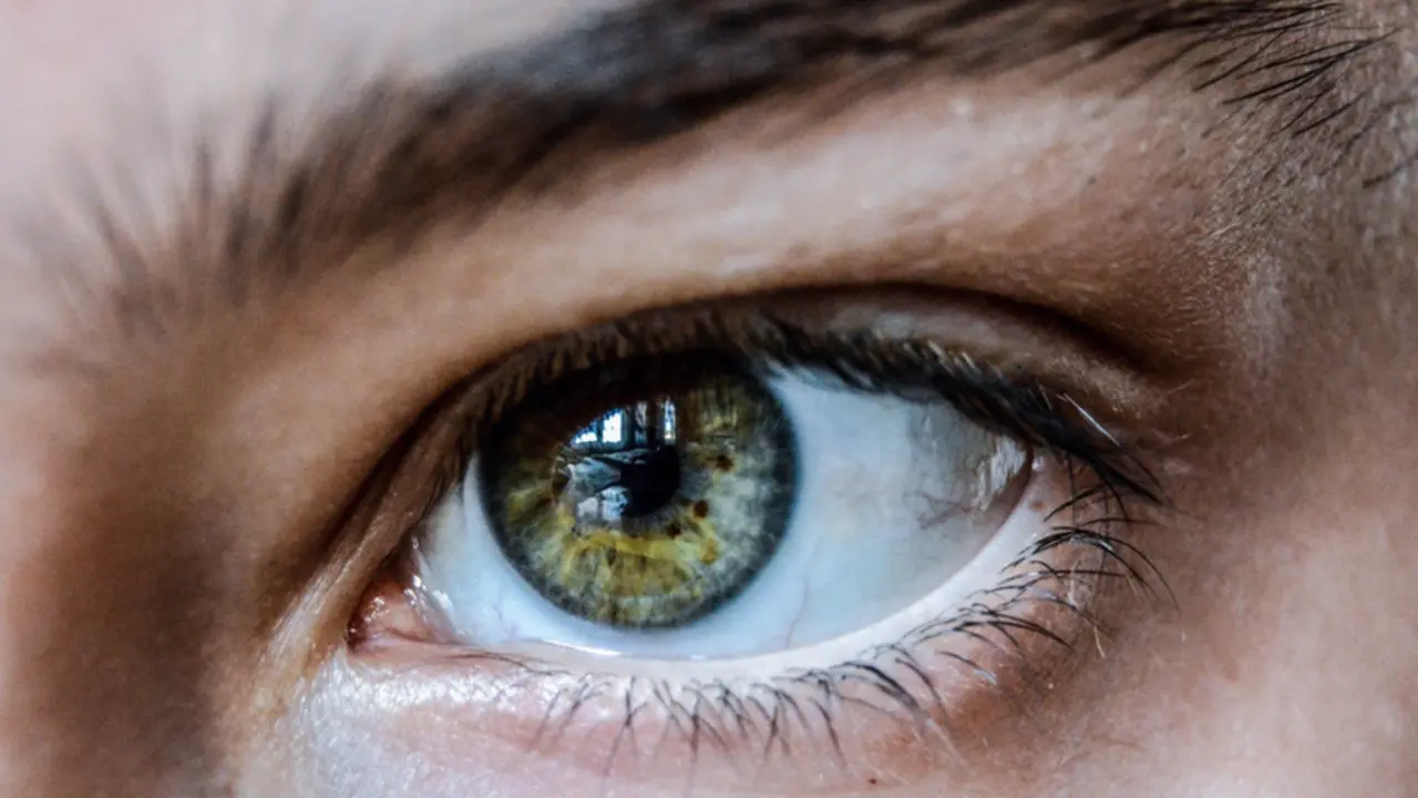  Archivo - Ojo. Pupila, retina. - CSIC - Archivo 