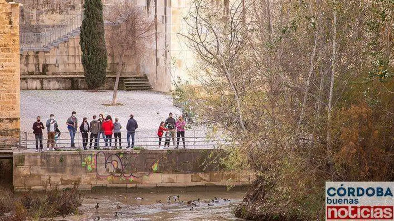  Varias personas observan el r&iacute;o Guadalquivir 