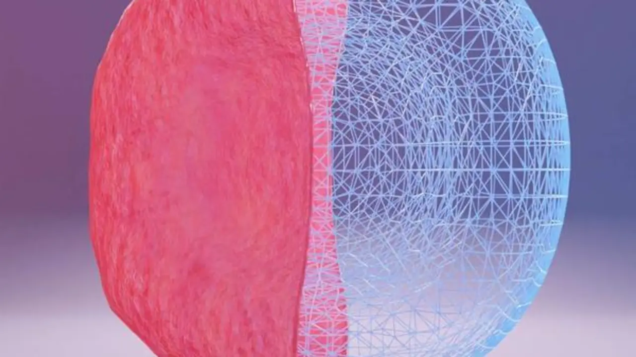  Investigadoras Del Csic Desarrollar&aacute;n Una Tecnolog&iacute;a Para Crear Sangre Artificial 