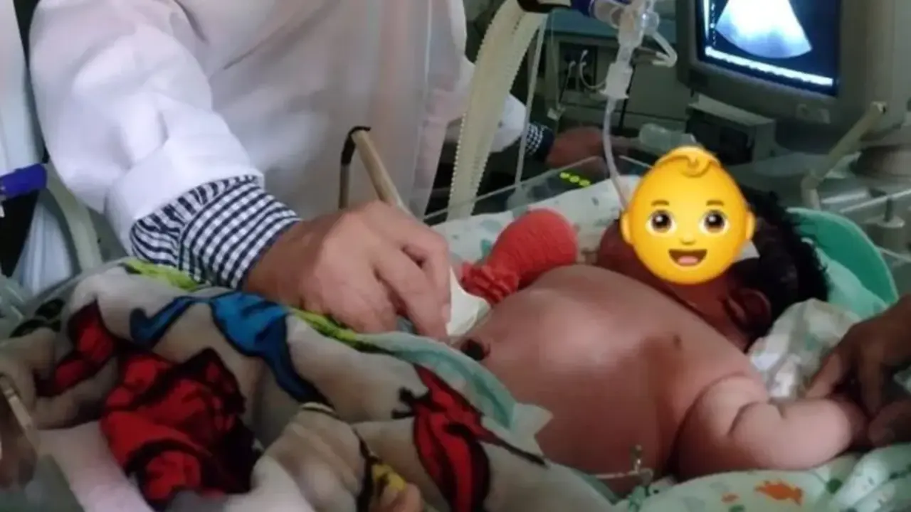  bebe brasile&ntilde;o 