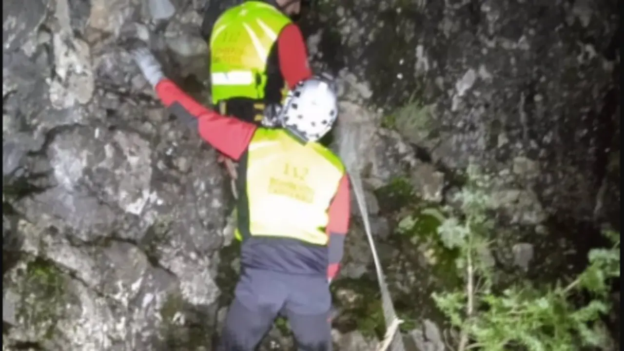  Rescate de los perros 