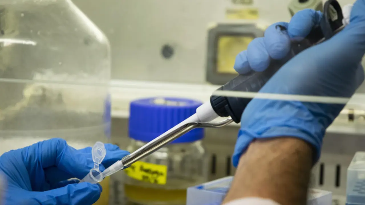  Archivo - Cuatro cient&iacute;ficos del CSIC reciben ayudas de la Uni&oacute;n Europea para fortalecer sus equipos de investigaci&oacute;n - CSIC - Archivo 