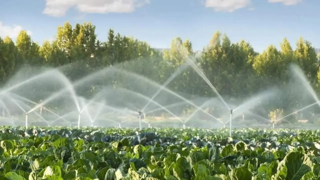  Agricultura. ARCHIVO 