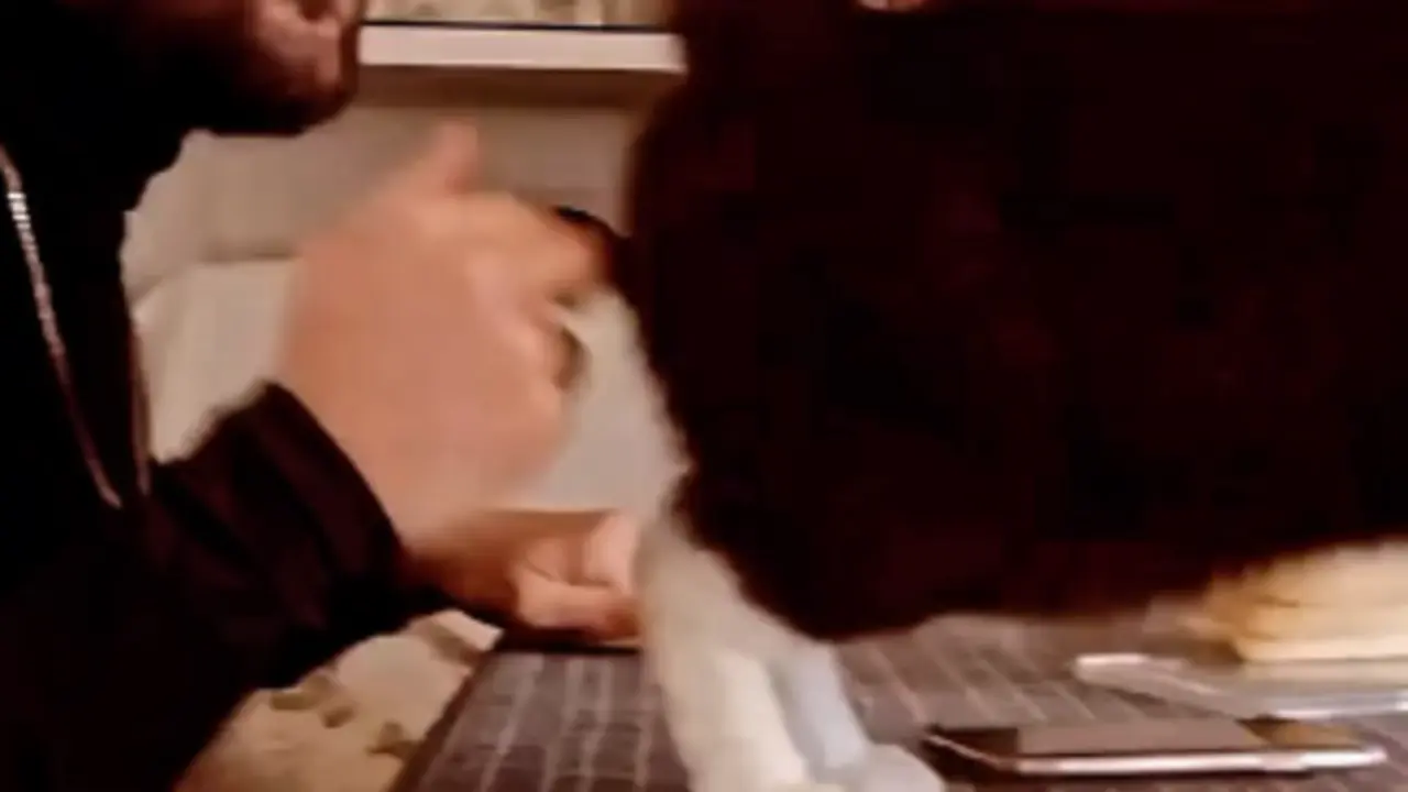  Rafa Blanes con su gato zapateando 