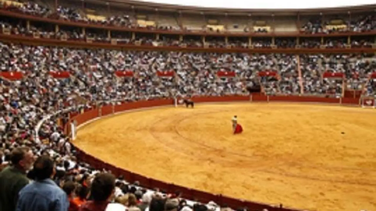  El coso de Los Califas. 