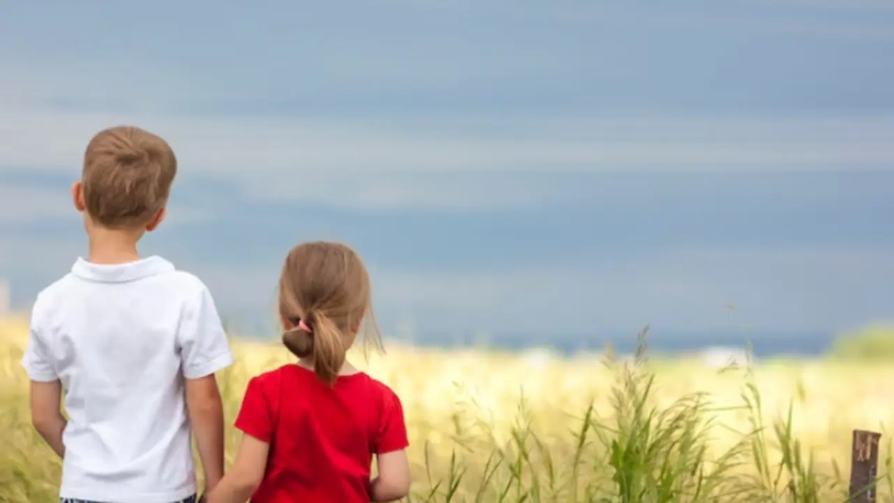  Un ni&ntilde;o de seis a&ntilde;os salva a su hermana de ser asesinada por su padrastro. Foto: Freepik 
