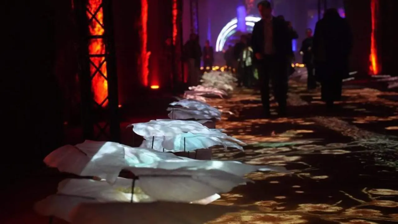  Espect&aacute;culo de Naturaleza Iluminada, Ra&iacute;ces del Alc&aacute;zar de C&oacute;rdoba 