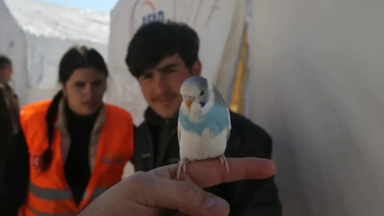  Un periquito evit&oacute; que una familia quedara atrapada en el terremoto de Turqu&iacute;a Tahir Turan Eroglu - Agencia Anadolu v&iacute;a Getty Images 