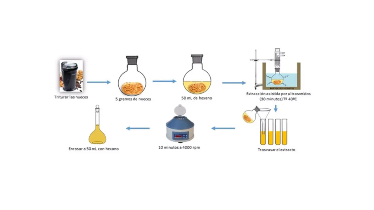  Funcionamiento del m&eacute;todo anal&iacute;tico para medir los compuestos antioxidantes presentes en la nuez, estudiados por investigadores de la Universidad de C&aacute;diz - UCA 