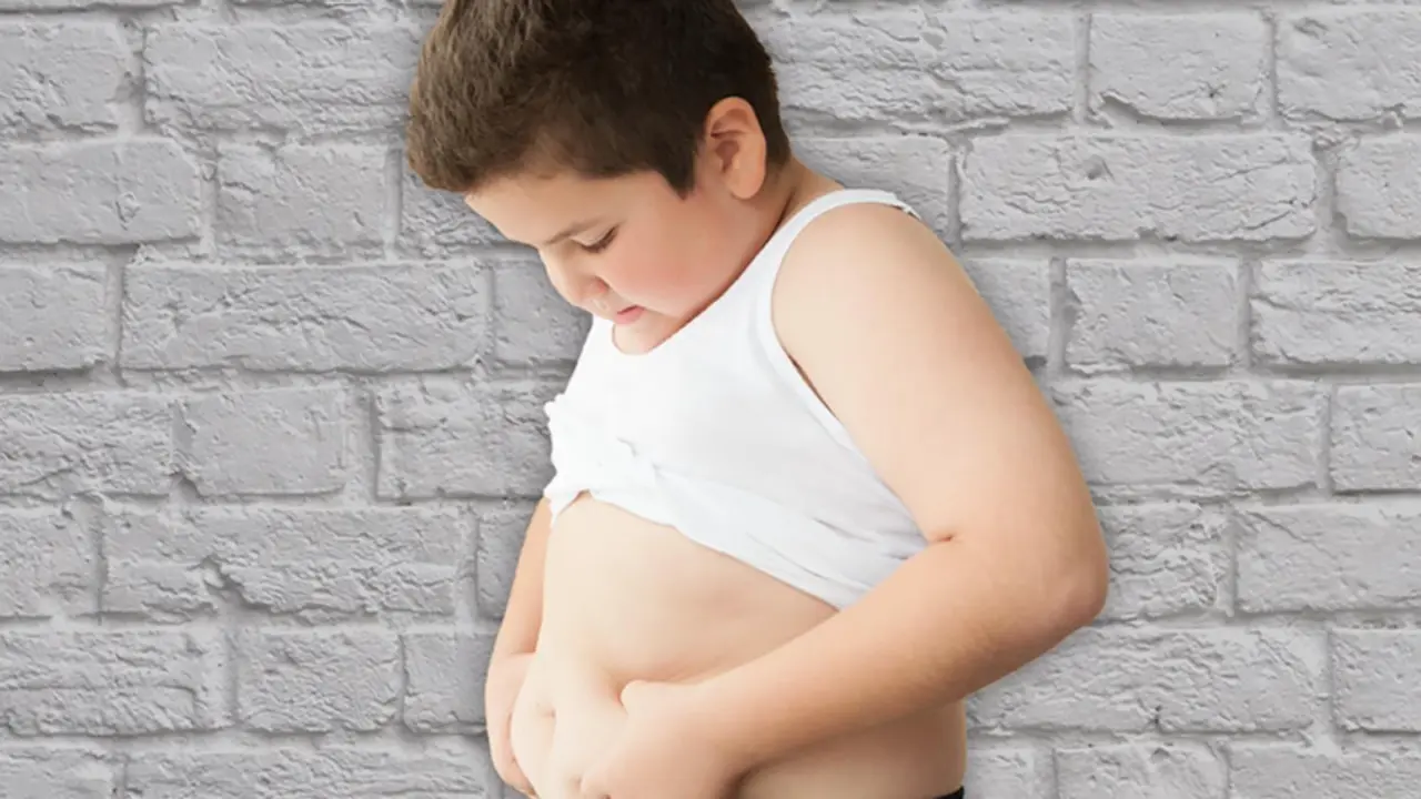  Archivo - Obesitat infantil - FLIRCK - Archivo 