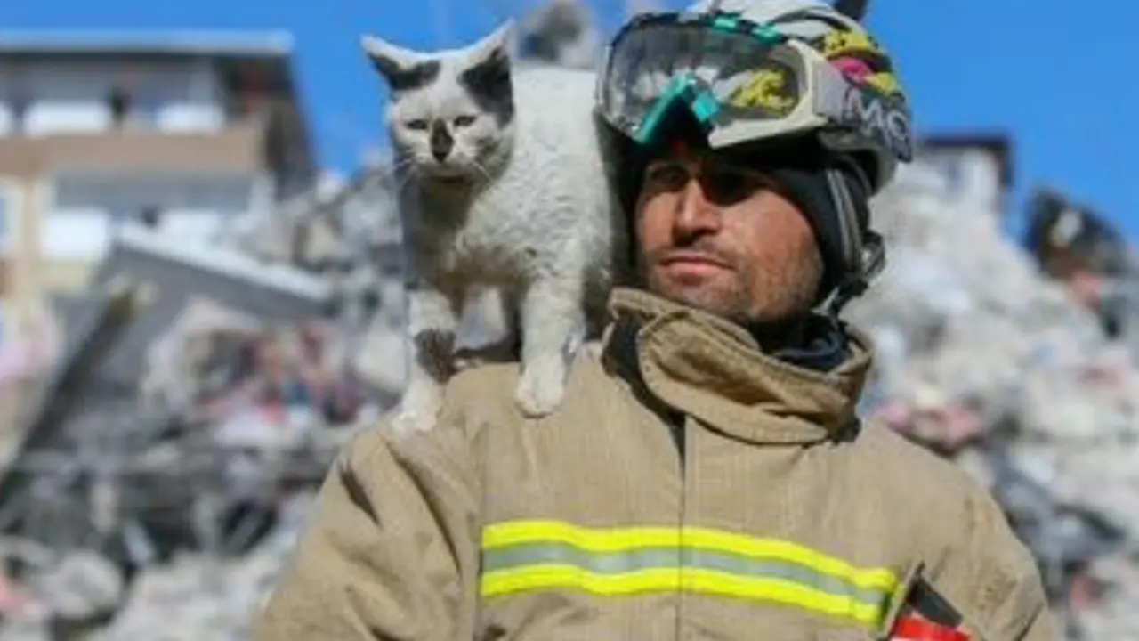  El bombero justo al gatito rescatado 