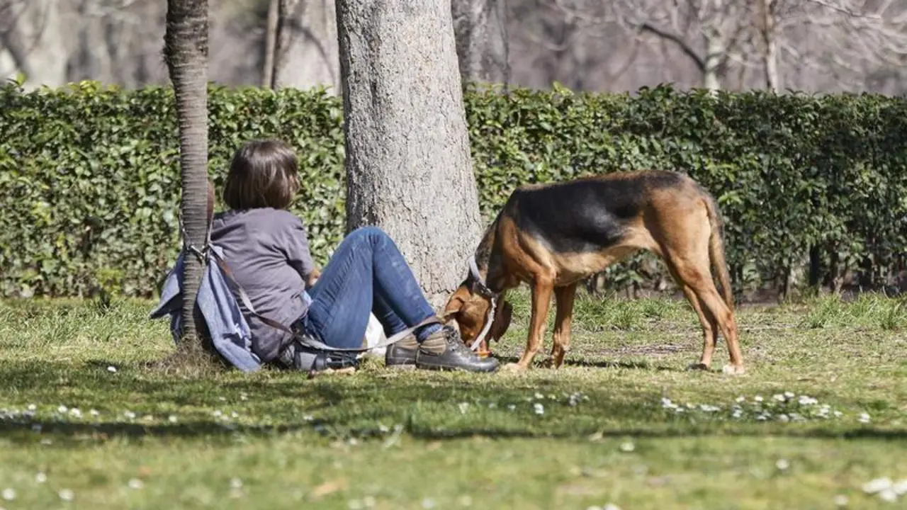  Una mujer junto a un perro en el Parque del Retiro, a 11 de marzo de 2023 