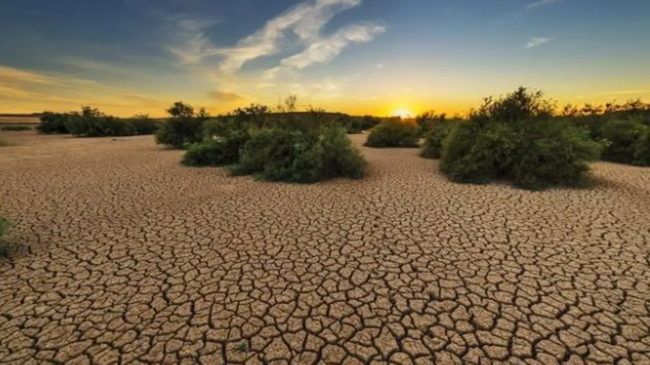  Estudio del CSIC demuestra que los agentes del cambio global son m&aacute;s agresivos al actuar en conjunto sobre un ecosistema - CSIC 