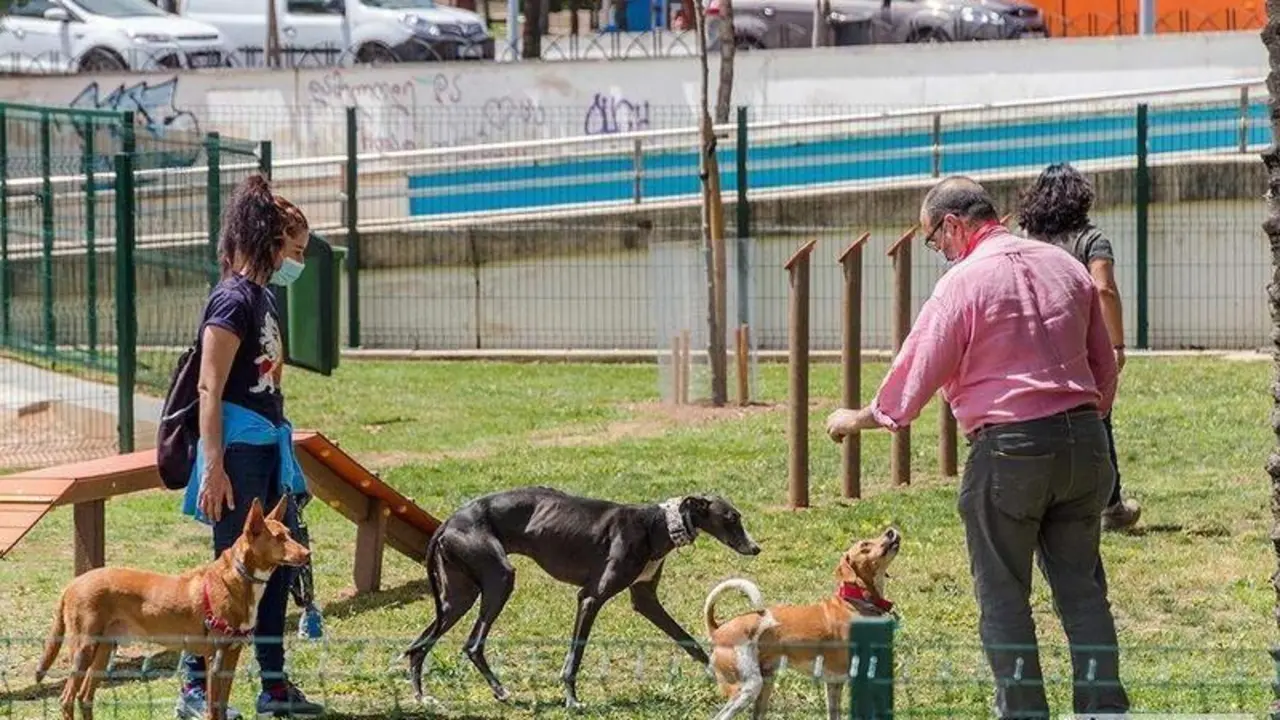  Perros con sus dueños en el parque canino de Vial Norte | Pilar Gázquez. 