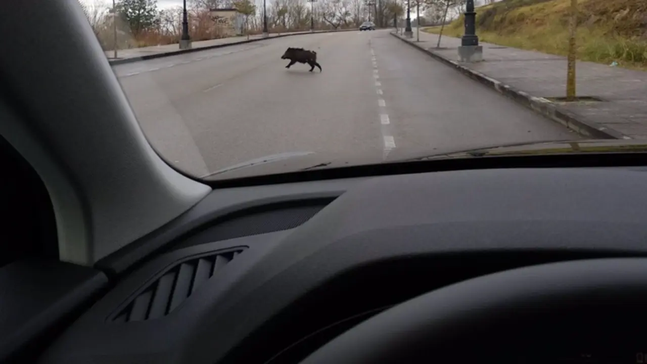  Archivo - Jabal&iacute; en la carretera - EUROPA PRESS - Archivo 