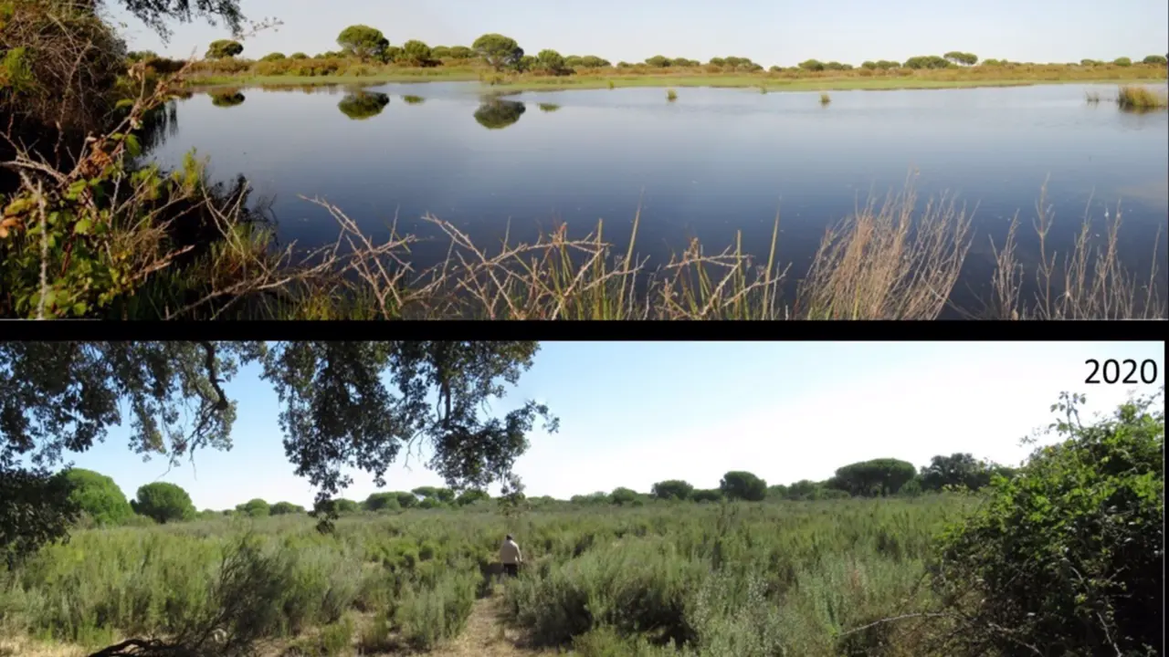  Ejemplo de laguna temporal desaparecida. - CSIC 