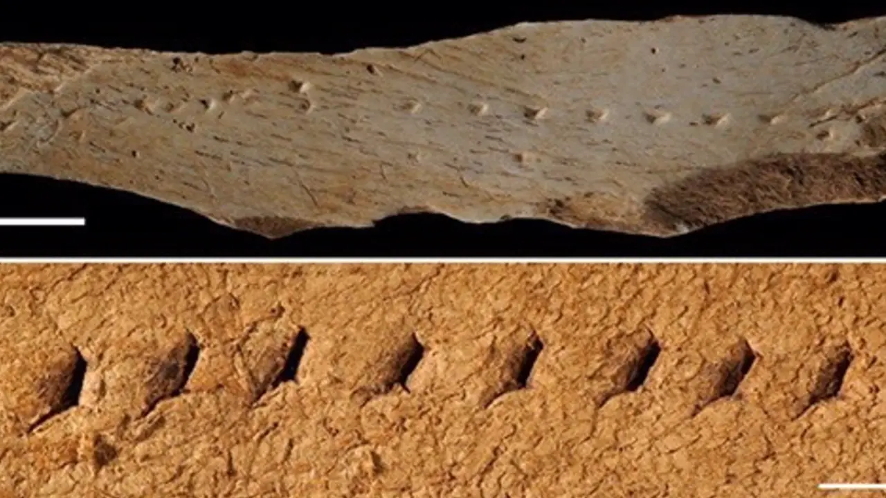  El soporte de hace 39.600 a&ntilde;os encontrado en el yacimiento de los Canyars y una r&eacute;plica de la t&eacute;cnica de perforaci&oacute;n para hacer una costura lineal - FRANCESCO D'ERRICO/LUC DOYON/UB 