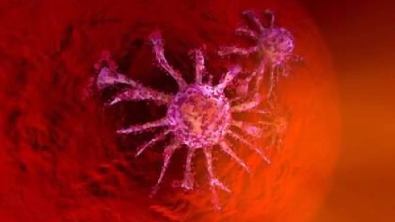  C&eacute;lula cancer&iacute;gena - Infosalus 