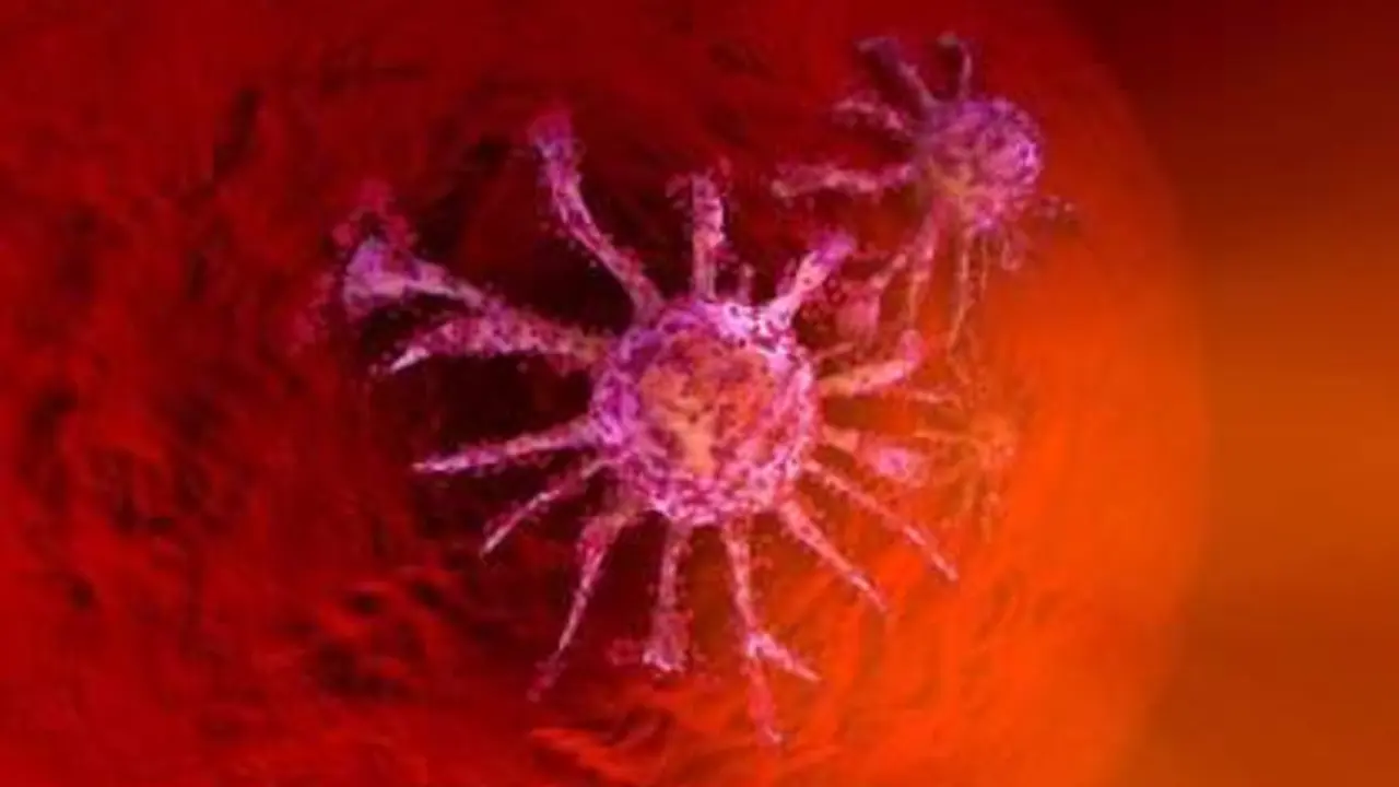  C&eacute;lula cancer&iacute;gena - Infosalus 