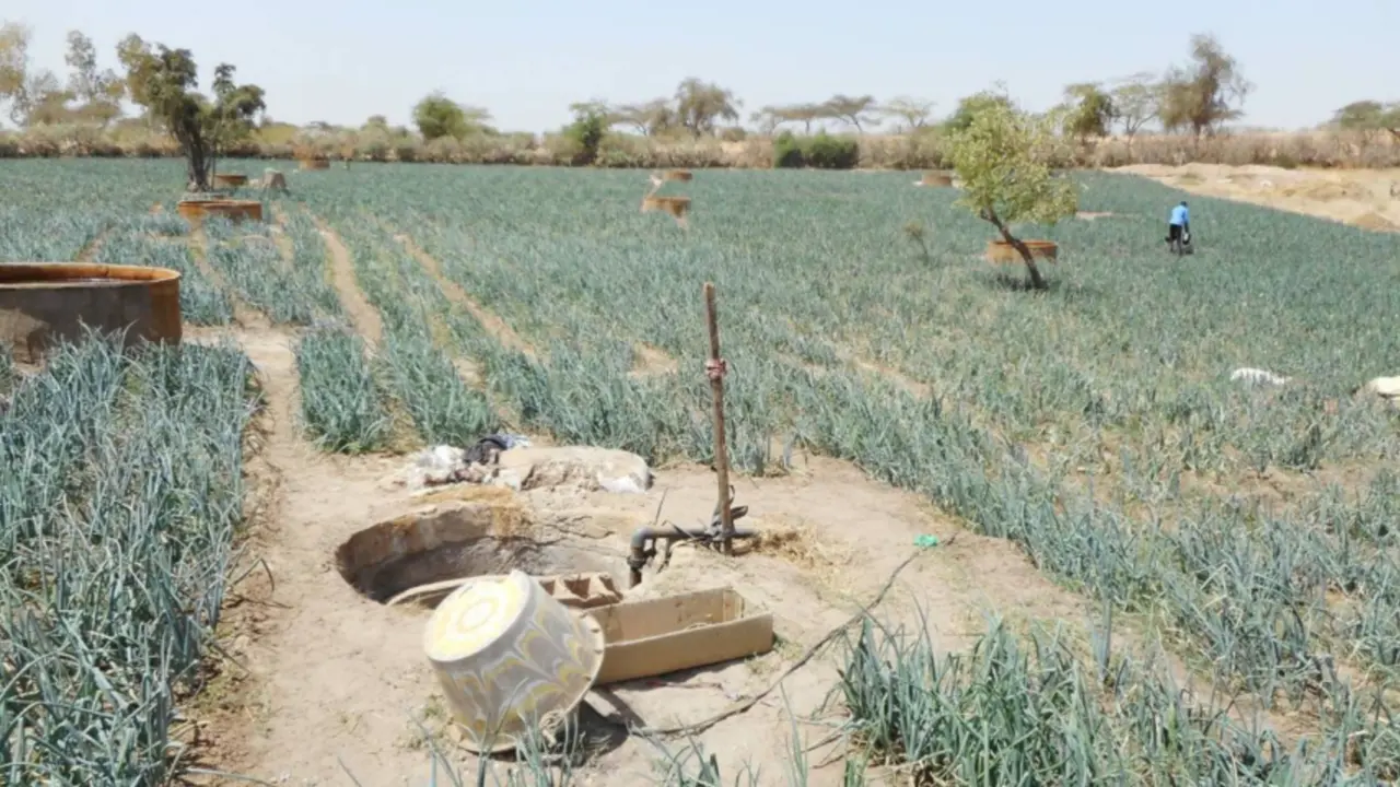  Imagen del caso de estudio en el Sahel 