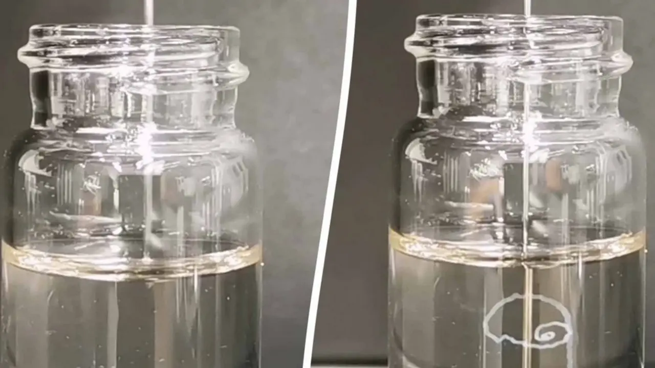  Johns Hopkins / SWNS 