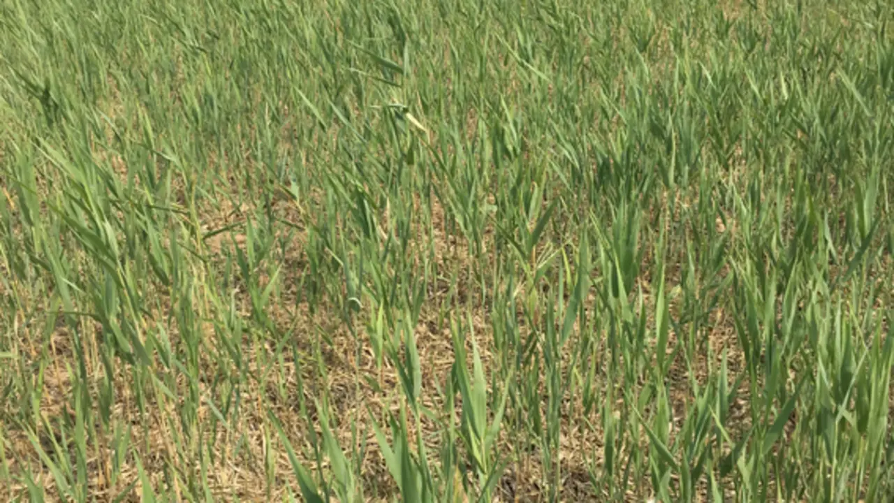  El equipo de investigaci&oacute;n trabajando en China 