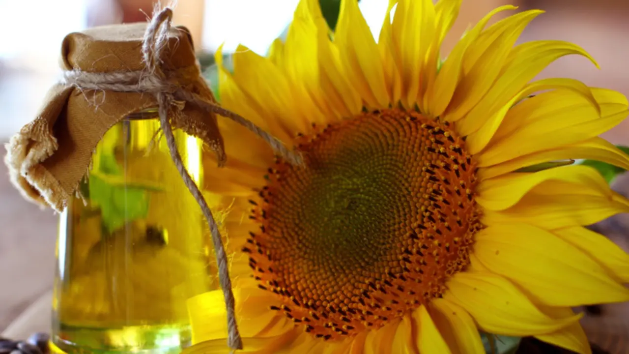  Aceite de oliva. WIKIPEDIA 