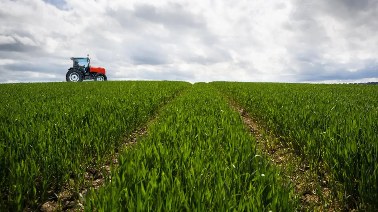  Archivo - Cepsa y el CSIC estudian desarrollo de cultivos energ&eacute;ticos de cobertura en zonas rurales para producir biocombustibles - CEPSA - Archivo 