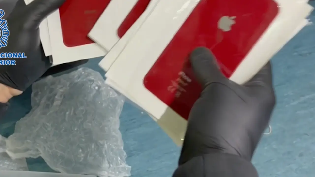  Piezas piratas incautadas 