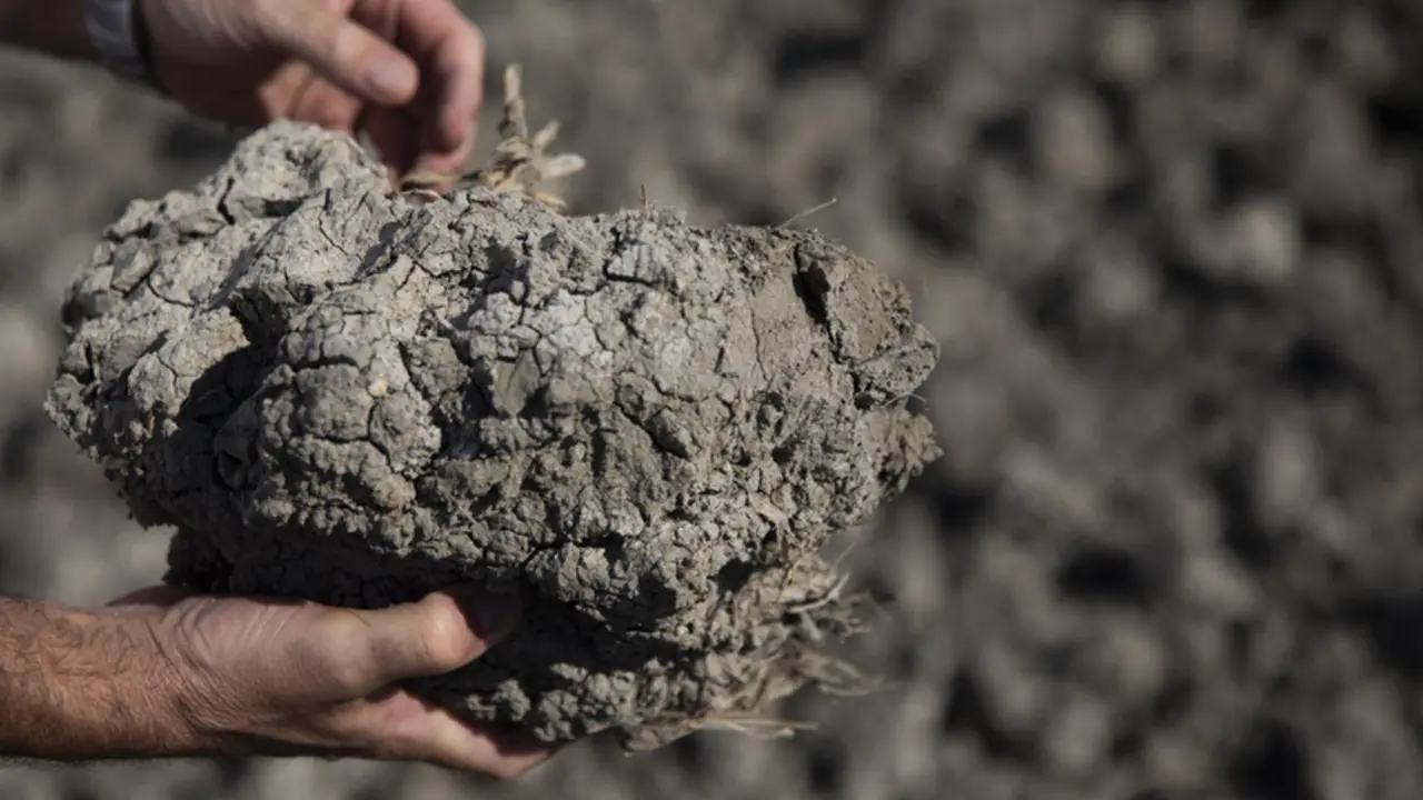  Tierras de cultivo de arroz sin sembrar a causa de la sequ&iacute;a, foto de recurso - Mar&iacute;a Jos&eacute; L&oacute;pez - Europa Press 