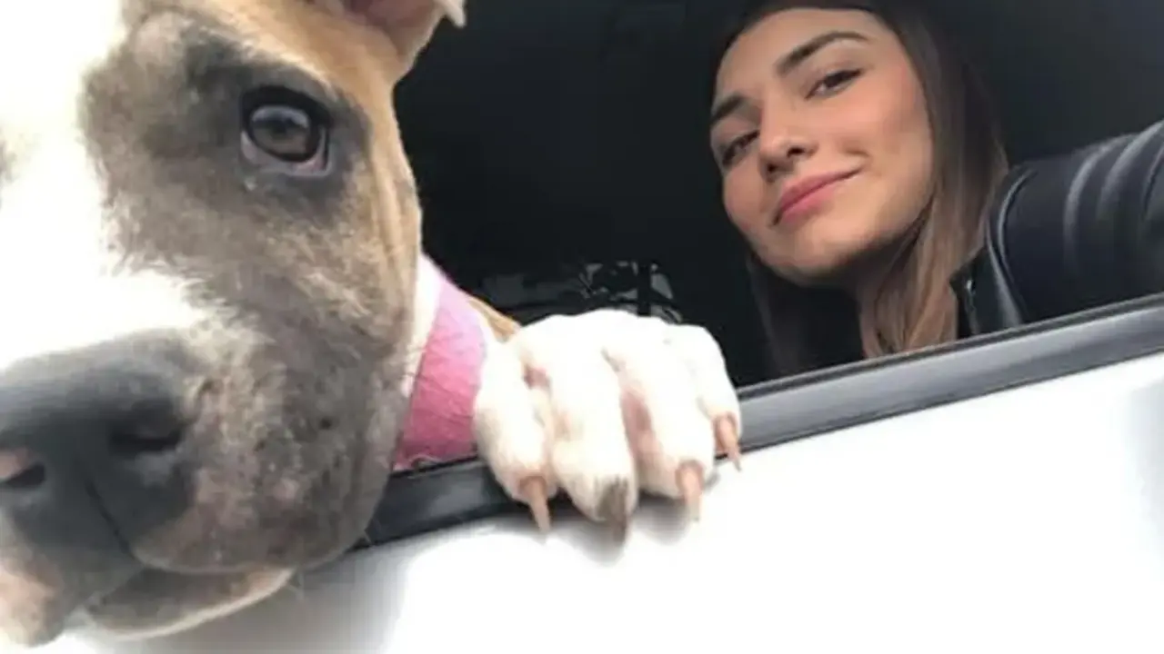  Una perrita muere de tristeza despu&eacute;s de que su due&ntilde;a fallezca - Facebook 