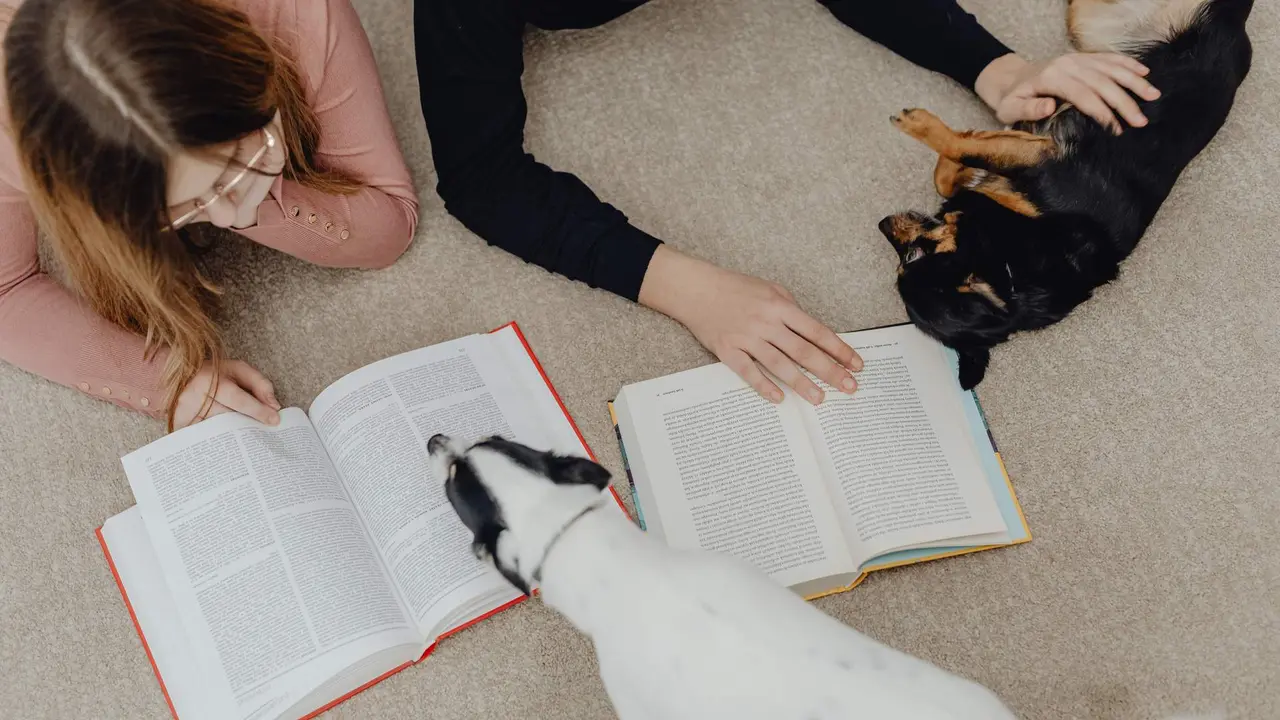  Animales y ex&aacute;menes 