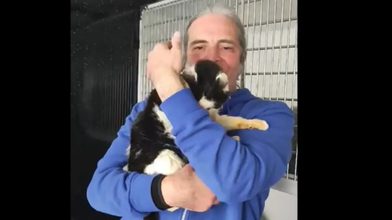  Kizzy se reencuentra con su due&ntilde;o 