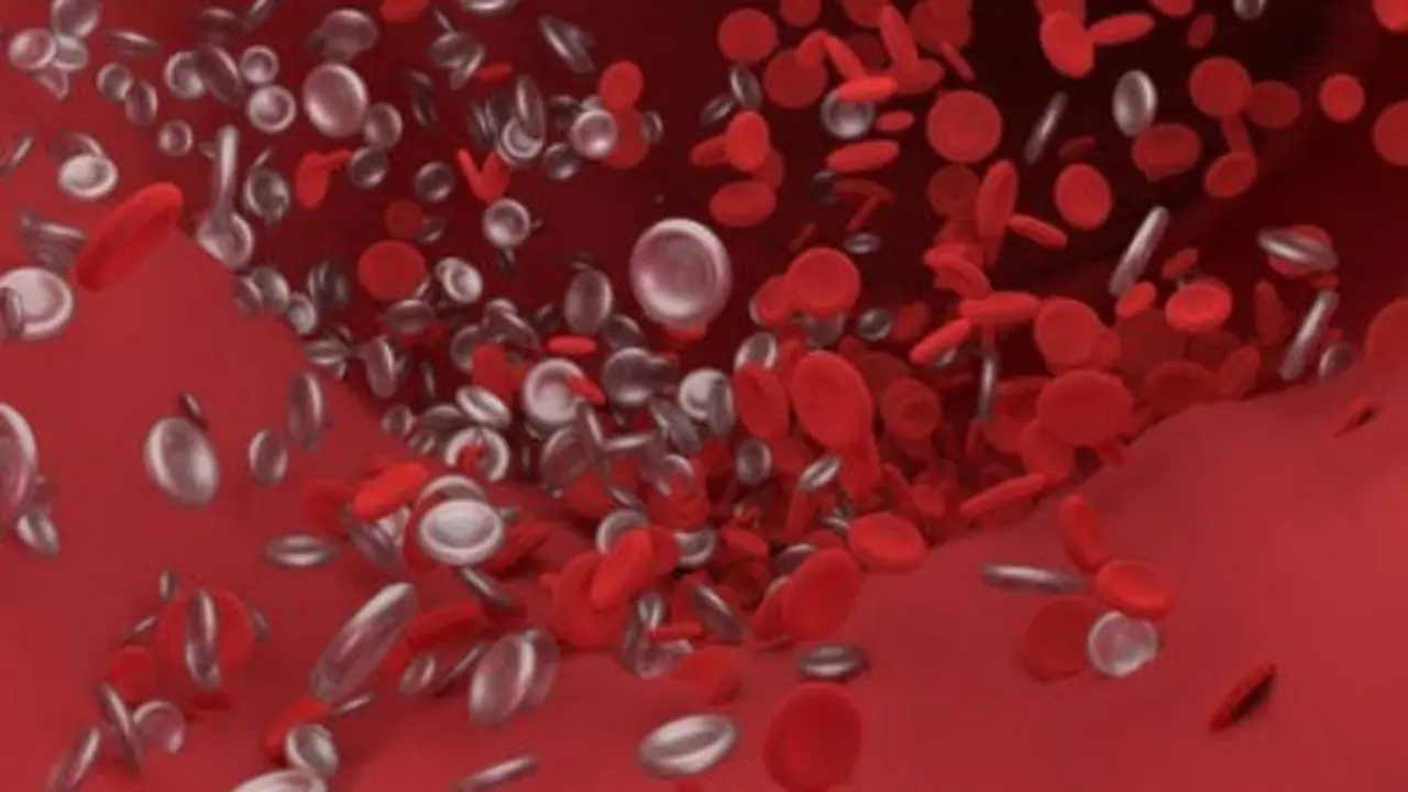  coagulaci&oacute;n de la sangre 